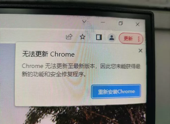 chrome无法更新到最新版本截图