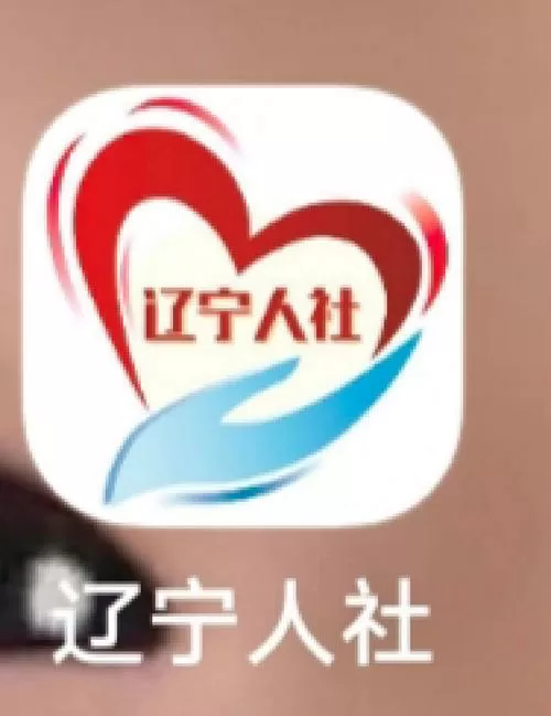 辽宁人社公共服务平台官网