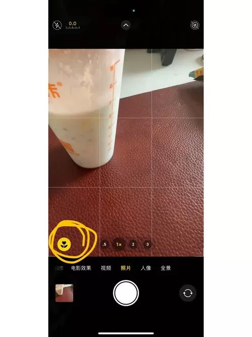 苹果相机下面的小花是什么截图