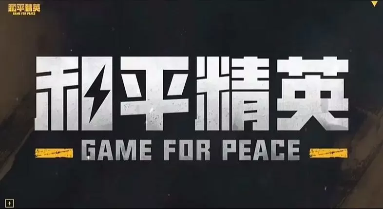 和平精英子一玩地铁逃生缩略图
