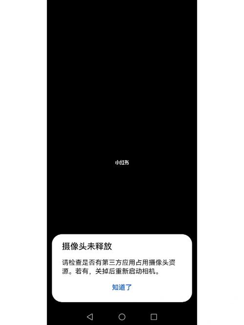 手机的相机打不开了是什么情况截图