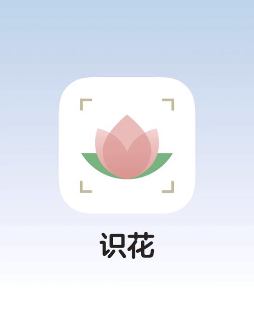 拍照识别花草的软件