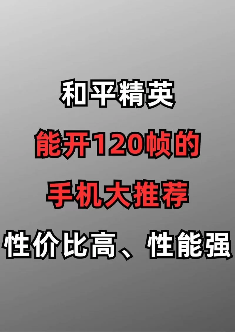 iqoo和平精英帧数设置游戏截图