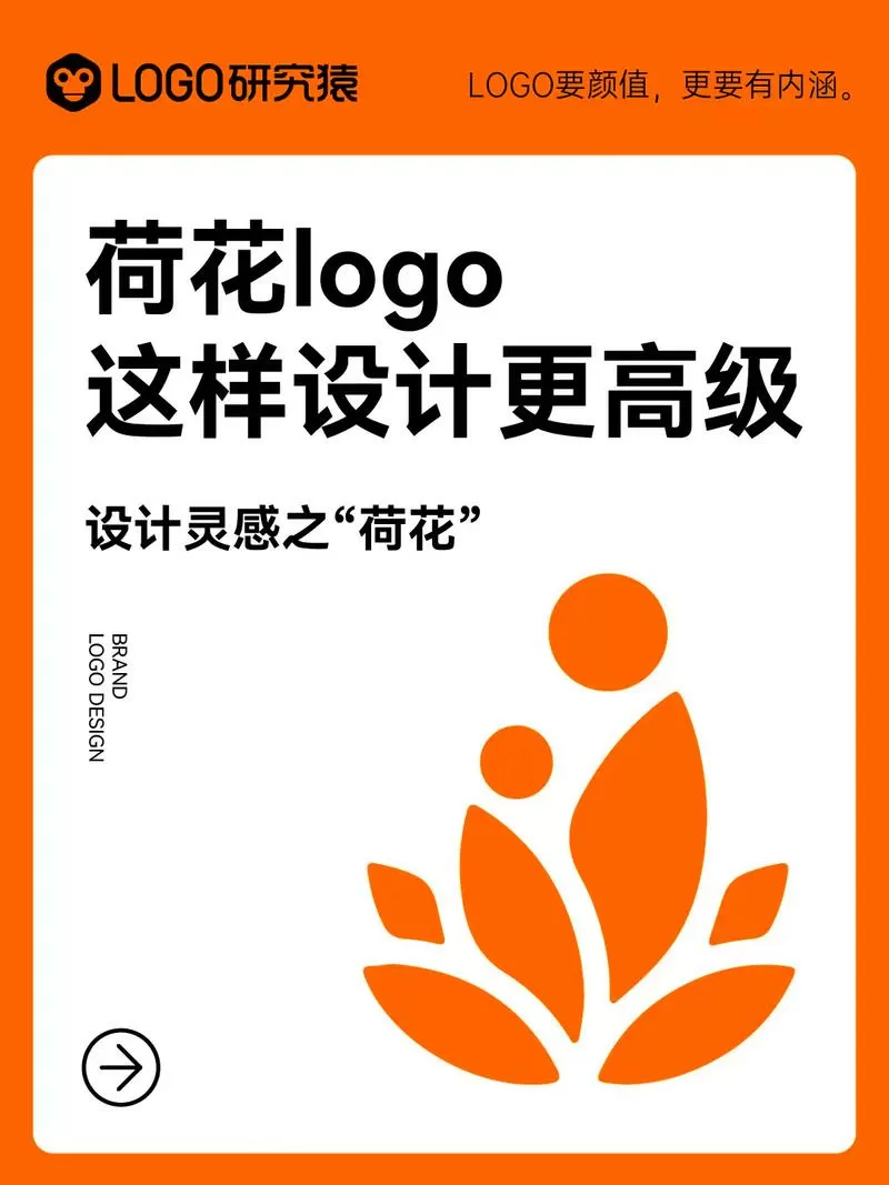 荷花直播最新版本更新内容