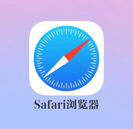苹果safari浏览器设置在哪截图