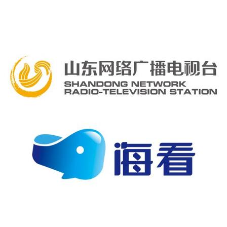 山东网络电视台缩略图