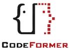 codeformer官网中文版下载缩略图
