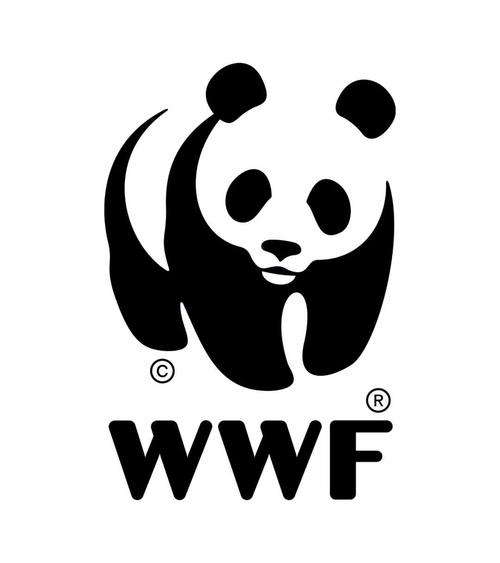 熊猫图片真实照片