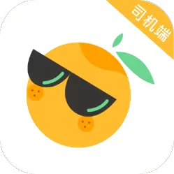 司机智能终端下载手机版截图