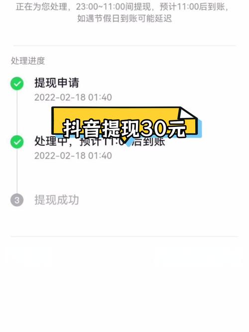 抖音提现支付宝找不到了游戏截图
