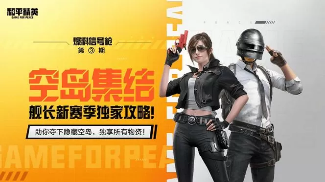 和平精英黑子内透直装