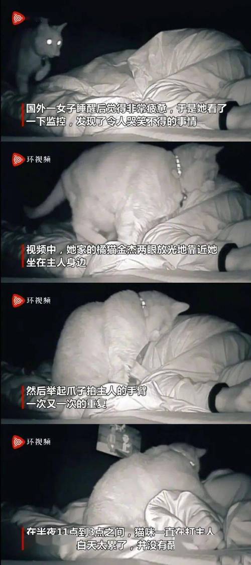 美女小鸡鸡的软件。精简版截图