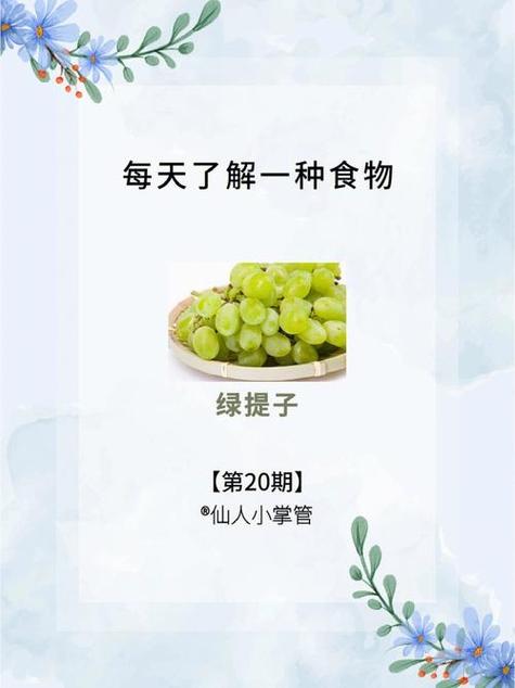 绿提子视频茄子影视截图