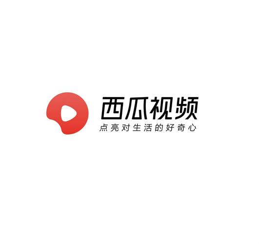 西瓜视频2020年旧版历史截图
