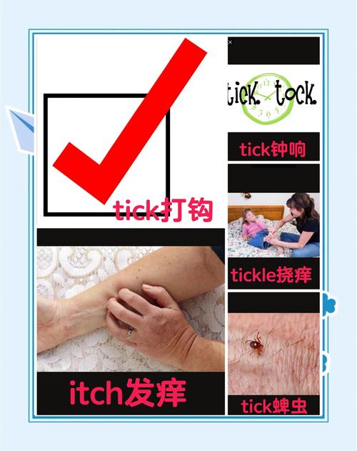 tk痒痒游戏安装入口在哪解锁全部书源游戏截图