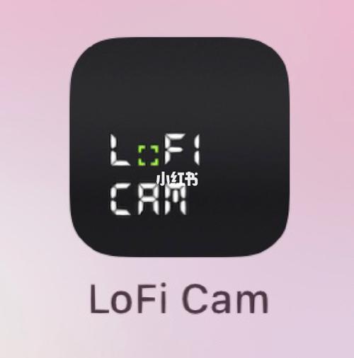 LoFiCam相机截图