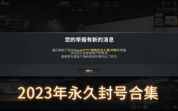 和平精英不封号全功能免费挂极速版2023缩略图