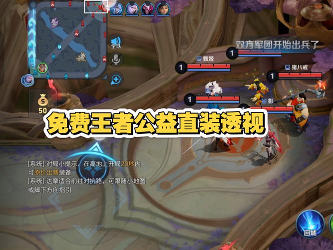 王者荣耀内置透视直装版
