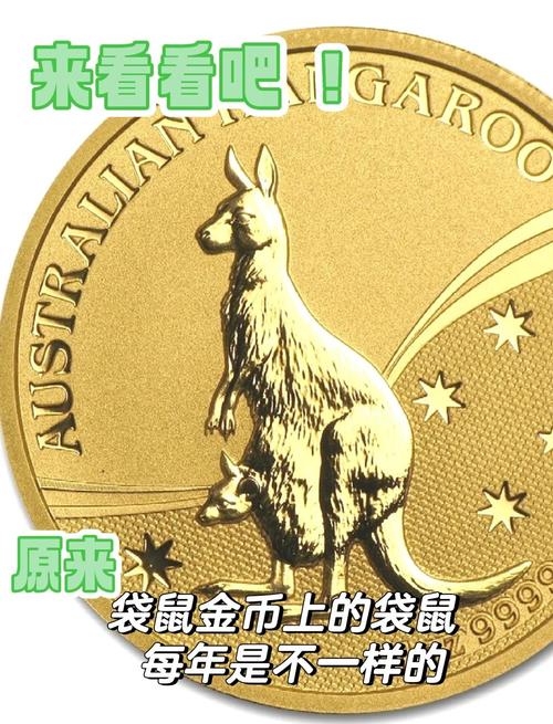 老鼠金币最新版本更新内容视频教程截图