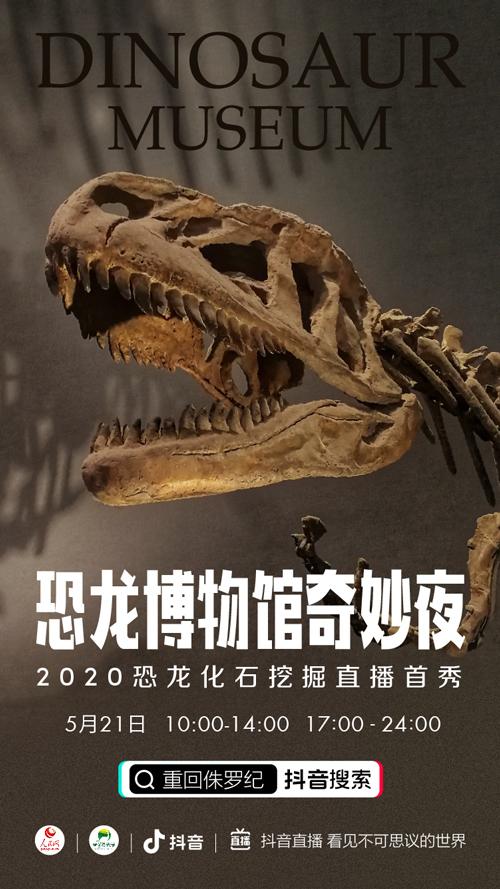 恐龙化石挖掘现场视频截图