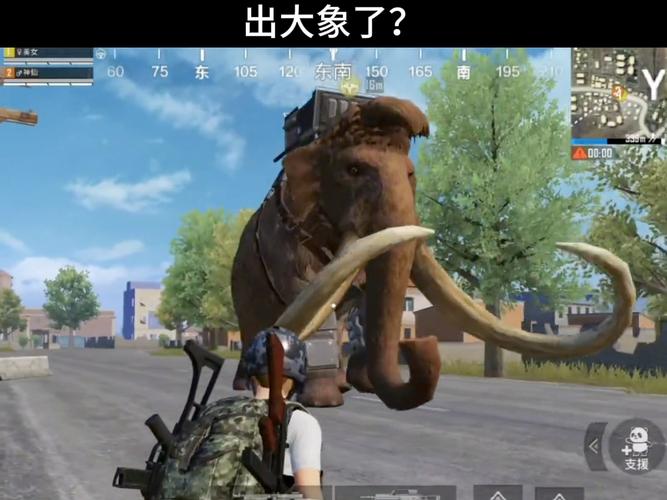 和平精英大象直装游戏截图