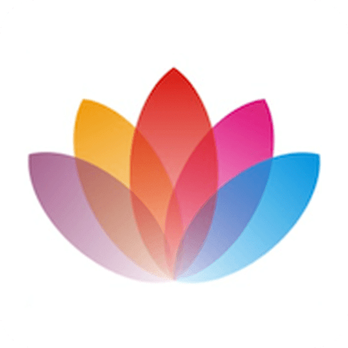 残花交友截图