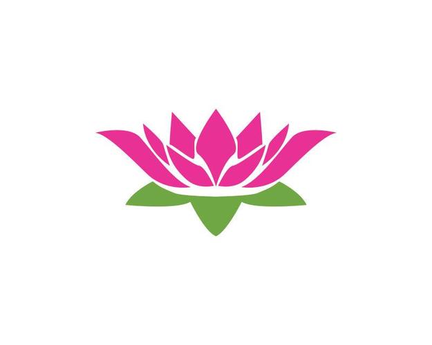 莲花直播官方正版截图