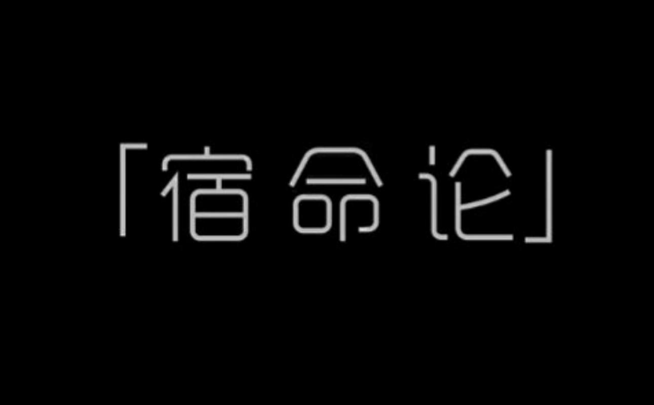 宿命论安装净化版截图