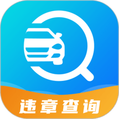122违章查询截图