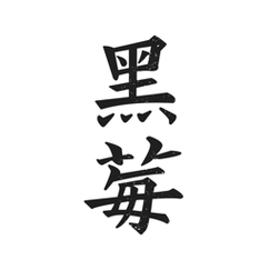 黑莓小说官方版截图