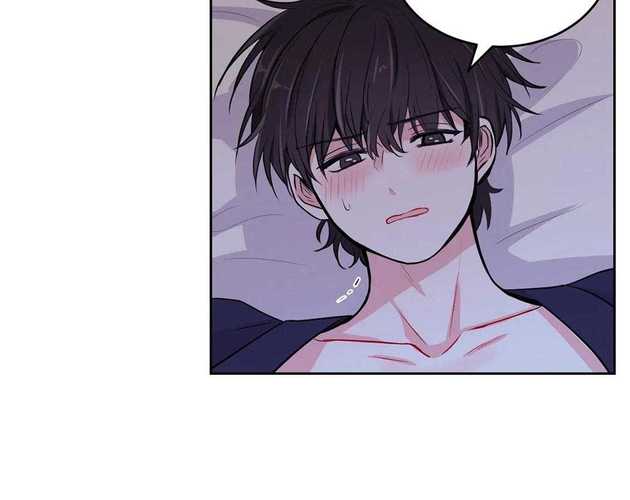 纸盒漫画官方页面入口提速版锦集截图