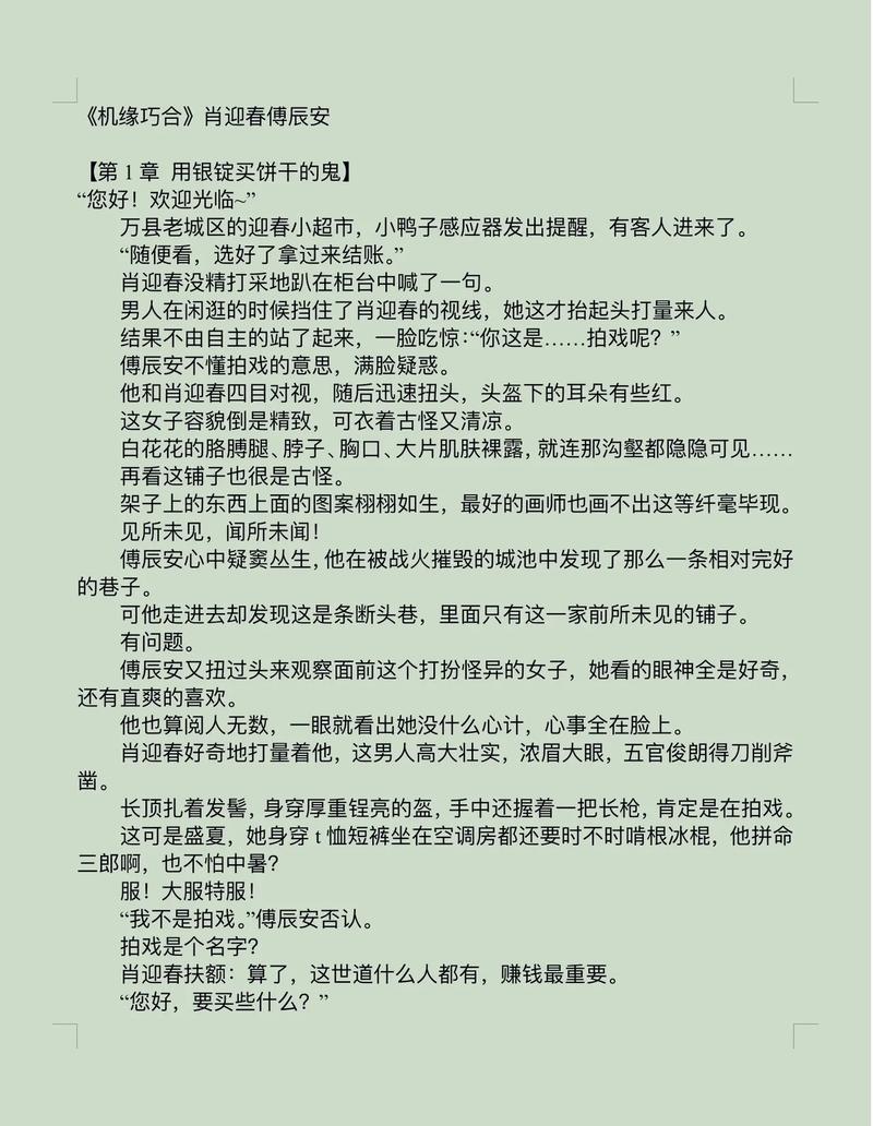 时空超市肖迎春傅辰安小说阅读免付费截图