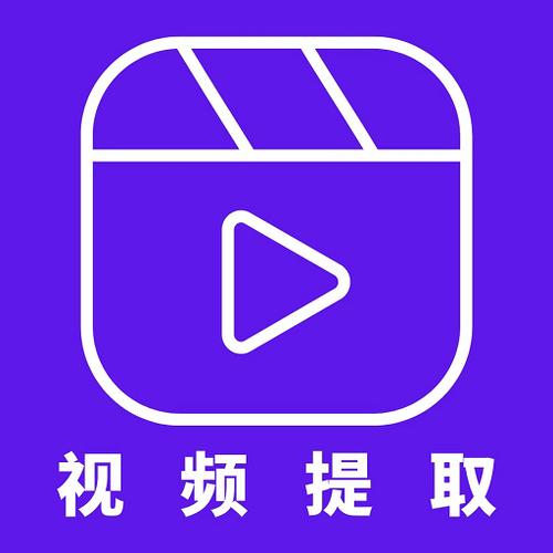 万能视频提取器网页版截图