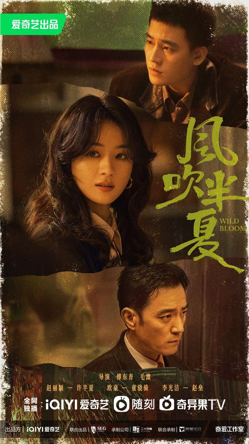 风吹半夏电视剧剧情介绍电视猫破解版永久VIP截图