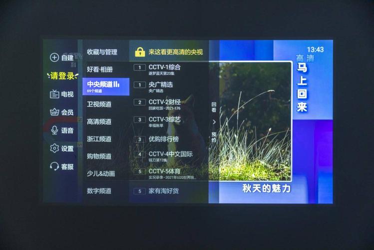 投影仪免费看CCTV直播换源版截图