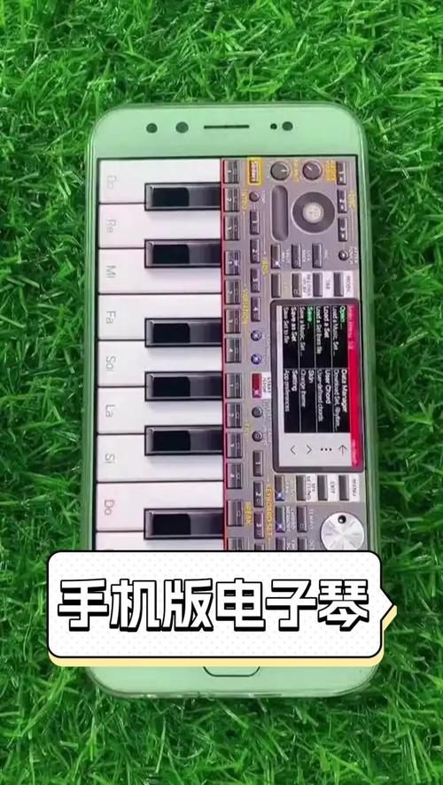 手机2025电子琴安装手机在线观看游戏截图