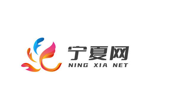 宁夏云平台登录入口网址截图