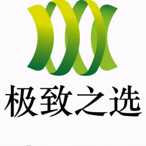 极致之选带货平台截图