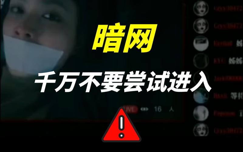 91暗网免费观看无限刷邀请版截图