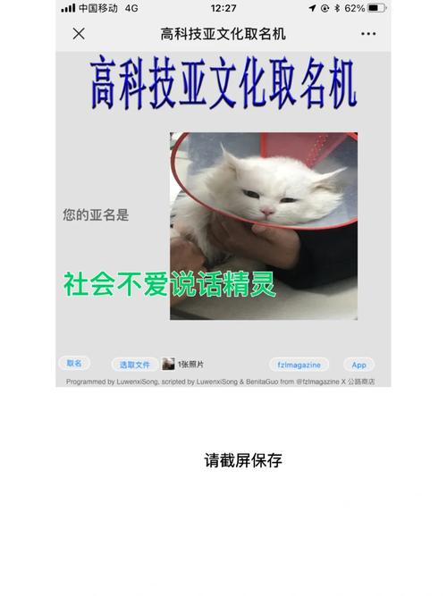 高科技亚文化取名机链接截图