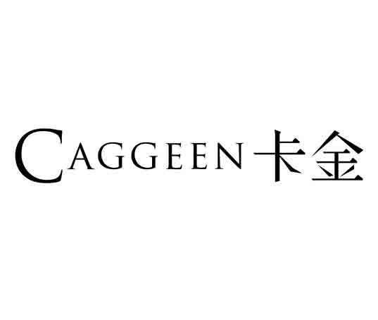 卡金内置菜单截图
