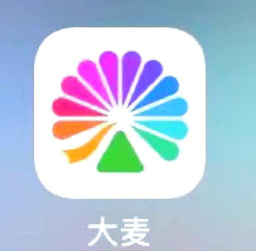 抢麦2024年免费安装全免版截图