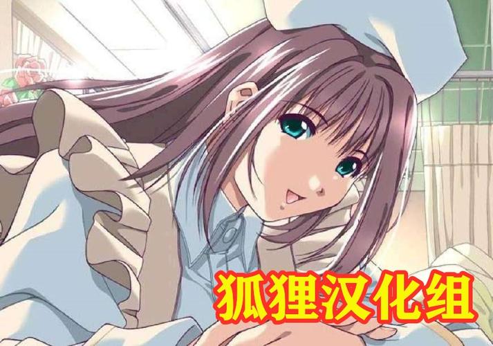 狐狸汉化组的20部直装游戏无付费最新版截图