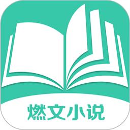 燃文小说无限刷邀请版图标