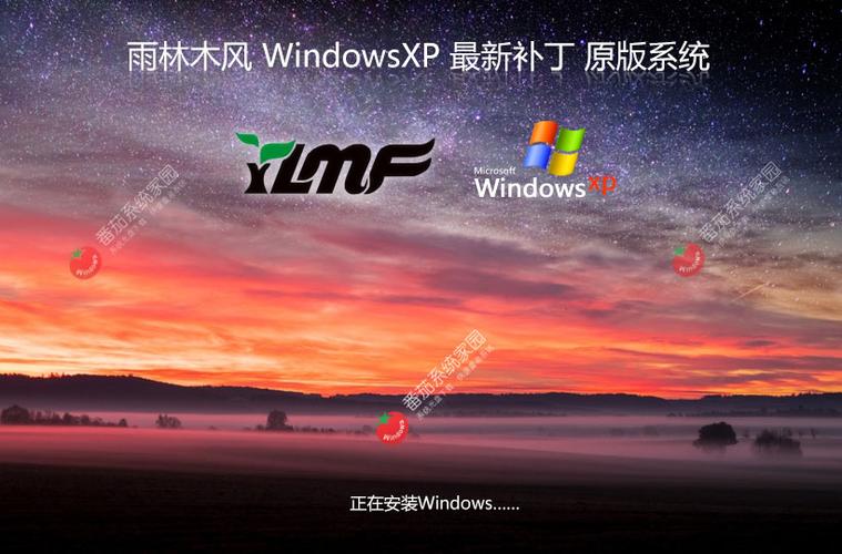 雨林木风WIN7旗舰版透视辅助截图