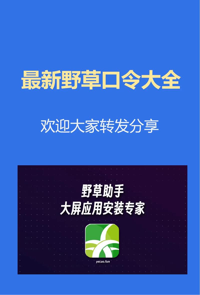 野草口令2025最新最新版截图