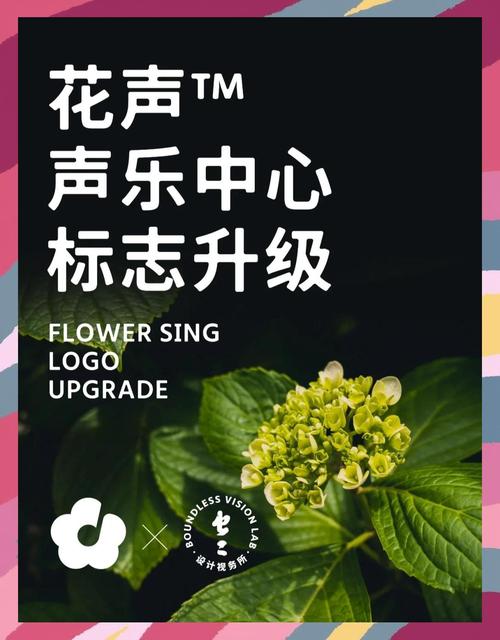 花声破解版截图