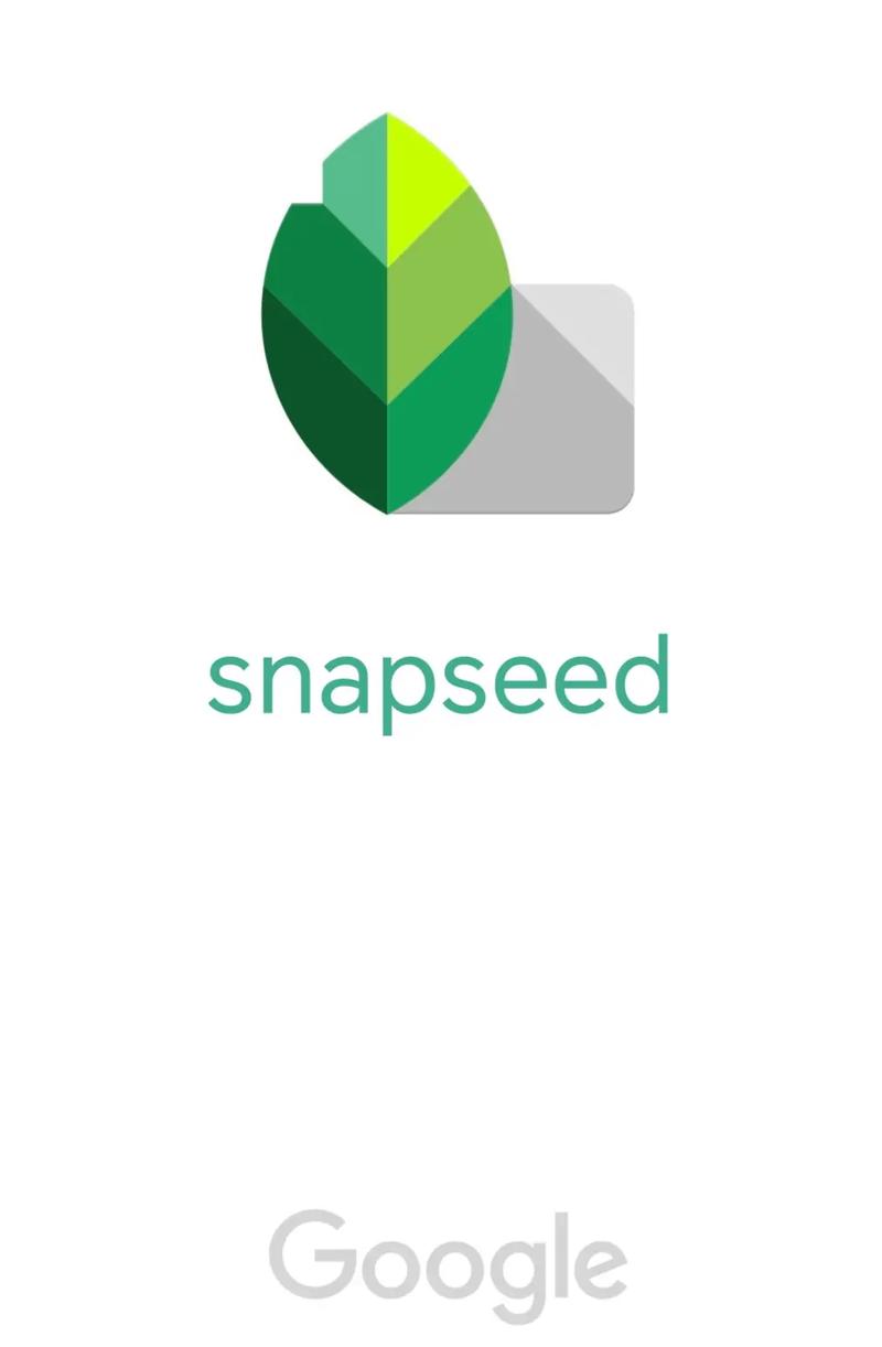 snapseed教程游戏截图