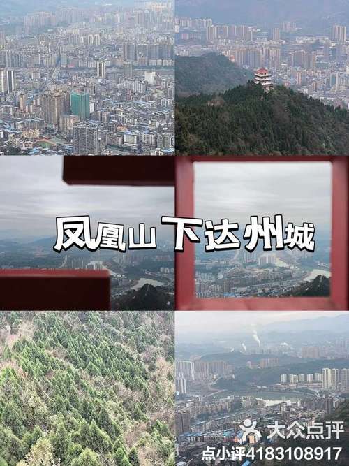 如何打开达州凤凰山下论坛视频永久截图