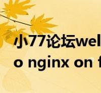 小77论坛截图